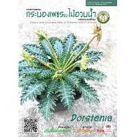 ราคา วารสารชมรมกระบองเพชรและไม้อวบน้ำ แคคตัส กระบองเพชร ไม้อวบน้ำ cactus succulent (17524719920)
