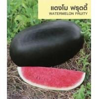 ราคา เมล็ดพันธุ์ แตงโม เมล่อน แคนตาลูป ทุกสายพันธุ์ 10 50 เมล็ด แตงโม แตงโมเหลือง แตงโมดำ แตงโมไร้เมล็ด (21149416926)