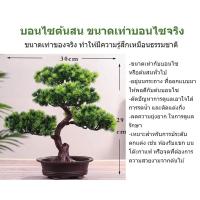 ราคา ต้นไม้ตกแต่งบ้าน ต้นบอนไซเทียม ต้นบอนไซปลอม ตกแต่งสวน ต้นไม้ปลอม ต้นไม้มงคล ต้นไม้ประดิษฐ์ ได้พร้อมกระถาง (21006822180)