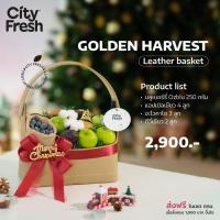 ราคา CityFresh GOLDEN HARVEST กระเช้าผลไม้ (13456635391)