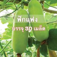 ราคา เมล็ดพันธุ์ แฟง ฟักเขียว Fang ฟักแฟง 30 เมล็ด (7872368220)