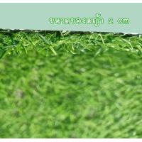 ราคา หญ้าเทียม หญ้าเทียมราคาถูก หญ้าเทียมปูพื้น หญ้าเทียมราคาถูก หญ้าเทียมปูพื้น หญ้าเทียมตกแต่งสวน (14325903812)