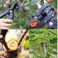 ราคา ZEN กรรไกรตอนกิ่ง คีมตอนกิ่ง ชำเสียบกิ่ง 2 ใบมีด ส่งด่วน ส่งไว สินค้าพร้อมส่ง (9120181831)