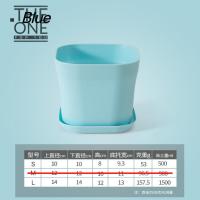 ราคา กระถางเล็ก กระถางปลูกต้นไม้ทรงสีเหลี่ยม ปลูกกระบองเพชร XF (18089068381)