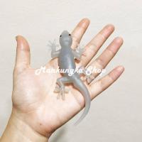 ราคา ตัวใหญ่ ขนาด 5 5 นิ้ว จิ้งจก จิ้งจกปลอม จิ้งจกแกล้งคน สัตว์ปลอม ของเล่นแกล้งคน (16108236154)