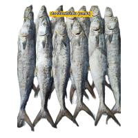 ราคา ปลาอินทรีย์เค็มหอม ปลาอินทรีย์เค็ม แบบยกตัว มีหลายขนาด (20089364419)