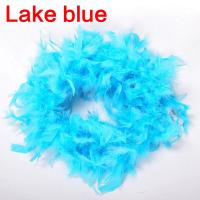 ราคา 2Mเครื่องแต่งกายคอสเพลย์ผ้าคลุมไหล่ธรรมชาติตุรกีFeathersผ้าพันคอBoaชุดสำหรับหมวกปาร์ตี้วันเกิดงานแต่งงานตกแต่งหัตถกรรม (4740722340)