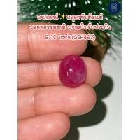 ราคา ธนาภรณ์GSH862 พลอยทับทิม 9 10 กะรัต พลอยแท้100 (17921571293)
