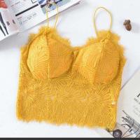 ราคา 2817 บราสายเดี่ยว เสื้อสายเดี่ยว เสื้อสายเดี่ยว เสื้อบ่าเดี่ยว บราสายเดี่ยว บราลูกไม้ บราลูกไม้ซีทรู บราลูกไม้ซับใน (1347740445)