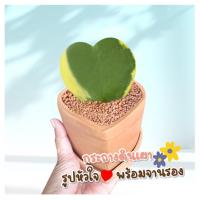 ราคา กระถางดินเผารูปหัวใจ กระถางดินเผา กระถางต้นไม้ กระถาง (20541739739)