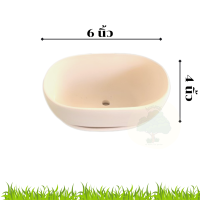 ราคา กระถางดินเผาขาว S12 กระถ่างดินขาวเผาแกร่ง 1ใบ กระถางดินขาว ทรงวงรี กระถางปลูกต้นไม้ขนาด 6นิ้ว พร้อมจานรอง กระถางดินเผา กระถางแคคตัส Aommam (17809049137)