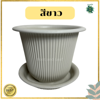 ราคา กระถางฮีโร่ Hero ขนาด 18 นิ้ว กระถางต้นไม้พลาสติกพร้อมจานรองกระถาง กระถางต้นไม้มินิมอล กระถางต้นไม้ ฮีโร่ กระถางฮีโร่ กระถางแต่งบ้าน ตกแต่งสวน แต่งห้อง แต่งคอนโด พลาสติกหนา (20599659530)