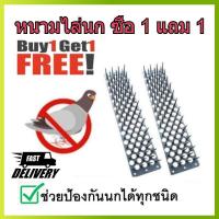 ราคา Bird Spike หนามกันนก 2 ชิ้น หนามไล่นก หนามนก ที่ไล่นก ที่กันนก แปรงไล่นก ไล่นกพิราบ แผงกันนก แผงไล่นก ลวดกันนก กันนกเกาะ หนามกันนกพิราบ (4115490891)