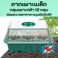ราคา ส่งจาก กทม ค่าส่งถูก ถาดเพาะเมล็ด ถาดเพาะกล้า ถาดเพาะต้นกล้า ถาดเพาะเมล็ด พร้อมฝาระบายอากาศ ถาดปักชำกิ่ง 12 หลุม (15171168092)