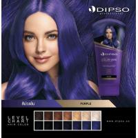 ราคา Dipso Super Shine Hair Color Wax ดิ๊ฟโซ่ แว็กซ์สี 150กรัม (9939078263)