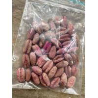 ราคา 10 เมล็ดอินทผาลัมแท้ อินทผาลัมสายพันธุ์สุกการี่ Seed date palm Iragi Sukari เมล็ดแท้จากต้นเพาะเนื้อเยื้อ (12121929862)