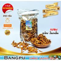 ราคา ปลาจิ้งจังกรอบ ปลากรอบสามรส มี 3 รสให้เลือก อาหารพร้อมทาน ปลาเล็กปลาน้อยปลาจิ้งจั้งcrispy anchoviesปลาของกินอร่อยๆปลากรอบhalal food (20926290121)