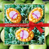 ราคา สบู่สมุนไพร สบู่รังไหม มะนาวน้ำผึ้ง สบู่ขัดผิว สบู่กลีเซอรีน ขนาด 100 กรัม Cocoon Lime Honey Glycerin Soap (19588210024)