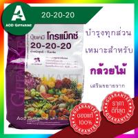 ราคา ปุ๋ย โกรแม็กซ์ กิฟฟารีน ปุ๋ยโกรแม็กซ์ 20 20 20 บำรุงทุกส่วน เหมาะสำหรับ กล้วยไม้ บำรุงราก ขยาย ราก Giffarine ปุ๋ยกล้วยไม้ (8945054105)