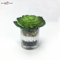 ราคา กระถางแคคตัสปลอม กุหลาบหินปลอมพร้อมกระถางแก้ว (4464492959)