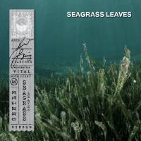 ราคา KARMAKAMET Original Aromatic Glass Candle คามาคาเมต เทียนหอม เทียน สร้างบรรยากาศ กลิ่นหอม บ้านหอม (13249648101)