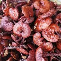 ราคา Changbai เห็ดหลินจือแดงเสือภูเขาชิ้นเห็ดหลินจือธรรมชาติเห็ดหลินจือ Lucidum หุ้นใหม่และชิ้นเห็ดหลินจือ50กรัม Gratis Ongkir (19855095679)