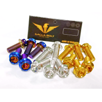 ราคา น๊อตสแตนเลส หัวเจาะ เบอร์12 M8 ความยาว10 90มิล เลสทองไทเท ราคา1ตัว (12655056842)