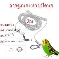 ราคา สายยืดคล้องขานก ห่วงเปิดนก สายจูงนก เชือกนกแก้ว ห่วงขานก ห่วงใส่ขานกแก้ว ฝึกนกบิน เล่นกับนก (17353961473)