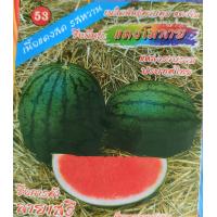ราคา เมล็ดพันธุ์ แตงโม เมล่อน แคนตาลูป ทุกสายพันธุ์ 10 50 เมล็ด แตงโม แตงโมเหลือง แตงโมดำ แตงโมไร้เมล็ด (21042544480)