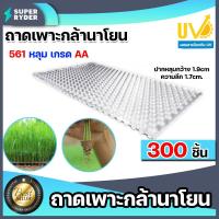 ราคา ถาดเพาะกล้านาโยน 561 หลุม มีให้เลือก 1 700 ชิ้น ถาดเพาะนาโยน ถาดนาโยน ถาดเพาะต้นข้าว ถาดเพาะกล้า เพาะกล้าข้าว (16061834068)