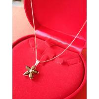 ราคา สร้อยคอเงินแท้ พร้อมจี้ดอกไม้นิล ปลดหนี้ ทวีทรัพย์ (7476220945)