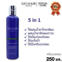 ราคา GO HAIR Silky Seaweed Nutrients โกแฮร์สีเขียว ซิลกี้ สาหร่ายทะเล ขนาด 250 ml GO HAIR EXTRA MILK TREATMENT HAIR สีฟ้า ขนาด 100 ML (21255617757)
