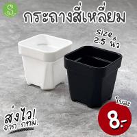 ราคา กระถางทรงสี่เหลี่ยม กระถางต้นไม้ กระถางแคคตัส กระบองเพชร ขนาดเล็ก 2 5นิ้ว (11807846730)