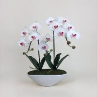 ราคา กระถางดอกไม้ปลอม ดอกไม้ประดิษฐ์ตกแต่งบ้าน กระถางกล้วยไม้ประดิษฐ์ กล้วยไม้จัดพร้อมกระถาง (14380162634)