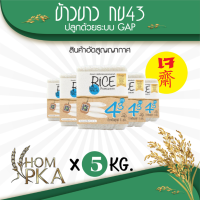 ราคา ข้าวกข43 แท้ 100 ข้าวขัดข้าวขาว 泰国大米品种编号43 RD43 Rice variety ตราหอมผกา บรรจุ 5 kgs ลัง ปลูกด้วยระบบ GAP ควบคุมโดยกรมการข้าว หอมนุ่ม ให้น้ำตาลน้อย (400451622)