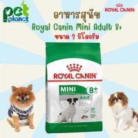 ราคา 2kg อาหารสุนัข RoyalCanin Mini Adult 8 โรยัลคานิน อาหารสุนัขแก่ 8 ปีขึ้นไป สำหรับ สุนัข หมา สุนัขแก่ หมาแก่ อาหารสุนัขสูงวัย อาหารสุนัขแบบแห้ง (18593723837)