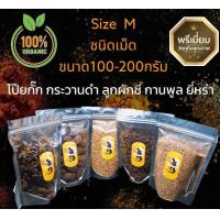 ราคา ยี่หร่า กระวานดำ โป๊ยกั๊ก ลูกผักชี กานพูล เครื่องเทศจีน Size M ชนิดเม็ด ขนาด100 200กรัม (15026082749)