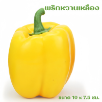 ราคา ผักโมเดล ผักพลาสติก ผักปลอม ผักผลไม้ปลอม สำหรับตกแต่งร้านอาหาร แต่งบ้าน แต่งร้านค้า (21144725454)