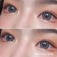 ราคา คอนแทคเลนส์ รุ่น Mini Icy x little chimmer mini tommy สีเทา ตาล gray brown มีค่าสายตา 0 00 10 00 (15443602175)