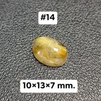 ราคา ไหมทองหลังเบี้ย สำหรับทำหัวแหวน (19708828298)