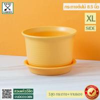 ราคา กระถางต้นไม้ กระถางพลาสติก จานรอง สำหรับปลูกต้นไม้ สีสดใสแนววินเทจ ขนาด 8 5 นิ้ว สีเหลือง (9745935239)