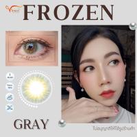 ราคา คอนแทคเลนส์ Frozen Gray Brown ยี่ห้อ Beautylens ค่าสายตาปกติ 1000 (17010015639)