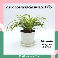 ราคา กระถางพลาสติกขนาด 3 นิ้ว จานรอง (17296006105)