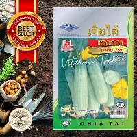 ราคา เมล็ดพันธุ์ แตงกวา มาลัย759 70เมล็ด เมล็ด ต้นไม้ เมล็ดผัก เมล็ดดอกไม้ ดอกไม้ ผัก ผักสวนครัว สลัด เมล็ดพันธุ์พืช (10038763300)