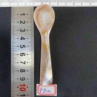 ราคา ช้อนเปลือกหอยมุกธรรมชาติ mask caviar dessert spoon 7 16cm (21134469187)