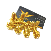 ราคา น๊อต สแตนเลส ไล่น้ำมันเบรค หัวเจาะดาว เกลียว1 0 ปั้มbrambo ราคา 1ตัว (10308697422)