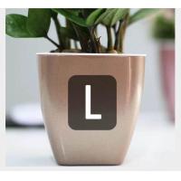 ราคา Sixtyfivehouseกระถาง กระถางต้นไม้ แบบ เก็บ น้ำ ได้ รด น้ำ อัตโนมัติ สีเงิน สีโรสโกลด์ สีทอง (16289643755)