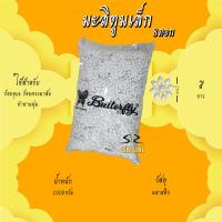 ราคา ดอกพุดวง ดอกพุด ดอกมะลิตูม (15838756412)