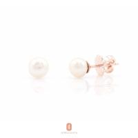 ราคา Jewellista ต่างหู Molly ไข่มุกน้ำจืดแท้ เงินแท้ 925 (13207789750)