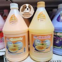 ราคา ออเลนติส แชมพู ครีมนวด แกลลอน 3200 มล AULENTIS LOLENTIS Shampoo conditioner (20480704406)